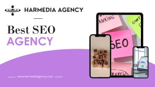 Best SEO Agency in Panchkula.