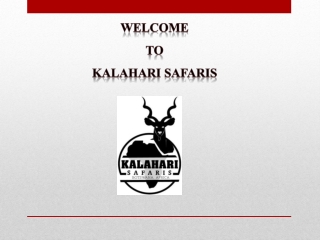 Cape Buffalo Hunting Packages | kalaharisafaris