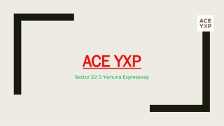 ACE YXP 9268900800 Retail Shops Yamuna Expressway