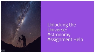 Expert Minitab Assignment Help for Students