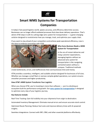 Smart WMS Systems for Transportation Companies