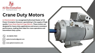 Crane Duty Motors