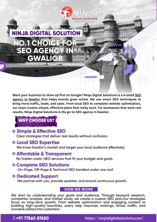 Ninja Digital Solution – No.1 Choice for SEO Agency in Gwalior