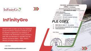 PCC Apostille in Jharkhand | MEA Attestation & Certificate Service – InFinityGro