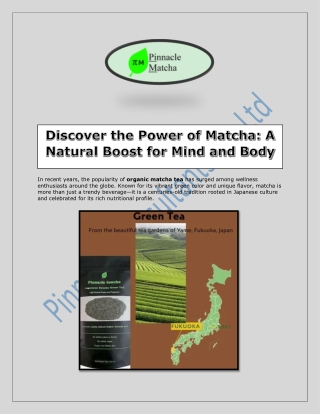 Discover the Power of Matcha  A Natural Boost for Mind and Body