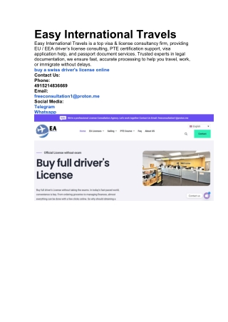 Easy International Travels