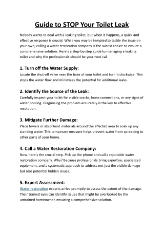 Guide to STOP Your Toilet Leak