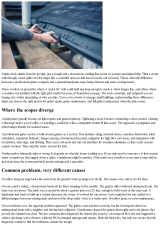 Professional Gutter Services vs. Handyman: Key Differences