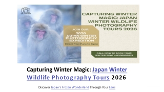 Capturing-Winter-Magic-Japan-Winter-Wildlife-Photography-Tours-2026_0.15[1]