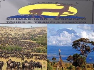 Mount Kilimanjaro Trek