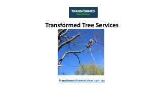 Transformed Tree Services