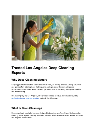 Post 2 _ Trusted Los Angeles Deep Cleaning Experts