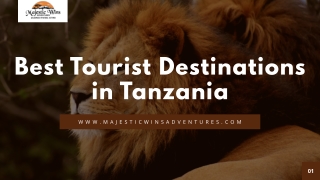 Discover the Best Tourist Destinations in Tanzania Top Tanzania Tourist Attractions