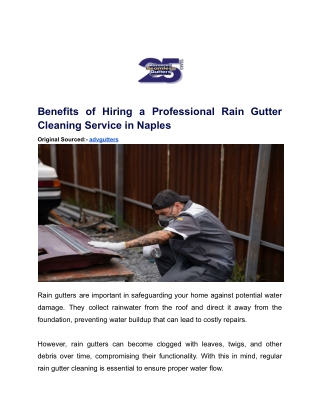 Benefits of Hiring a Professional Rain Gutter Cleaning Service in Naples