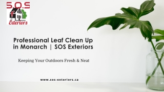 Professional Leaf Clean Up in Monarch  SOS Exteriors