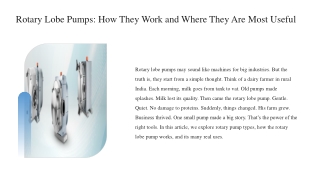 Rotary Lobe Pumps How They Work and Where They Are Most Useful