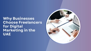 Why Businesses Choose Freelancers for Digital Marketing in the UAE