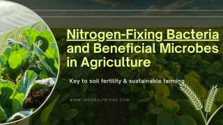 Nitrogen-Fixing Bacteria and Beneficial Microbes: Building Sustainable Agricultu