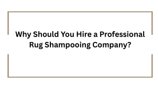 Why Should You Hire a Professional Rug Shampooing Company