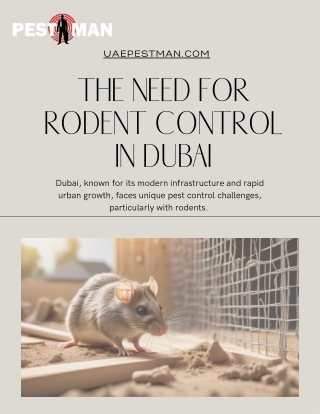 THE NEED FOR  RODENT CONTROL  IN DUBAI