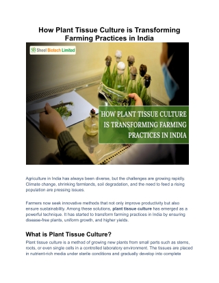 How Plant Tissue Culture is Transforming Farming Practices in India