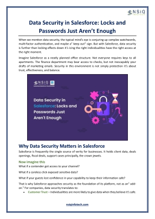 Data Security in Salesforce - Locks and Passwords Just Aren’t Enough