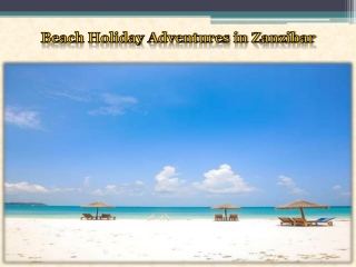 Beach Holiday Adventures in Zanzibar