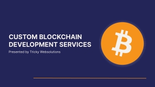 Custom Blockchain Development Services