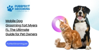 Mobile Dog Grooming Fort Myers FL: The Ultimate Guide for Pet Owners