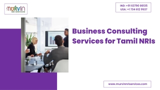 Business Consulting Services for Tamil NRIs Worldwide pptx
