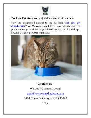 Can Cats Eat Strawberries Welovecatsandkittens.com