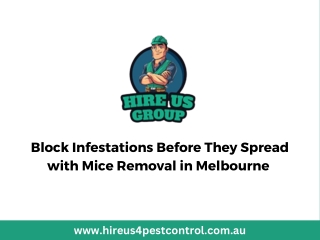 Block Infestations Before They Spread with Mice Removal in Melbourne