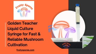Golden Teacher Liquid Culture Syringe for Fast & Reliable Mushroom Cultivation