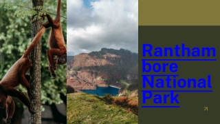 Planning a Trip to Ranthambore? Here's What You Need to Know