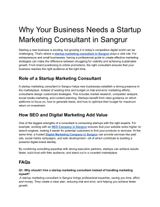 Why Your Business Needs a Startup Marketing Consultant in Sangrur