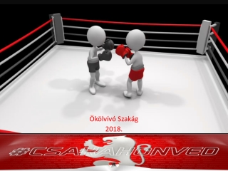 BHSE Ökölvívó Szakága újjáéledése