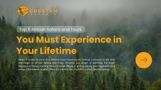 Top 5 African Safaris and Tours You Must Experience in Your Lifetime