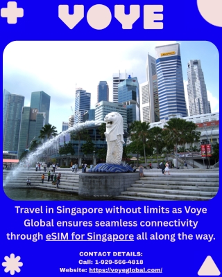 Roam Singapore with Confidence with Voye Global