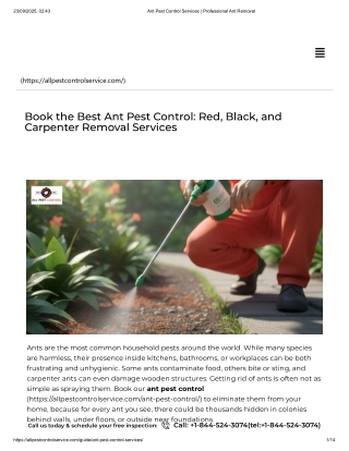 Ant Pest Control Services _ Professional Ant Removal