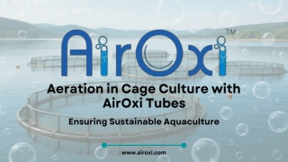 Aeration in Cage Culture with AirOxi Tubes (2)