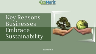 Key Reasons Businesses Embrace Sustainability