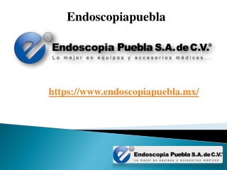 Neuro endoscopio
