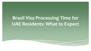 Brazil Visa Processing Time for UAE Residents What to Expect