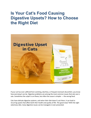 Is Your Cat’s Food Causing Digestive Upsets - Royal Pet