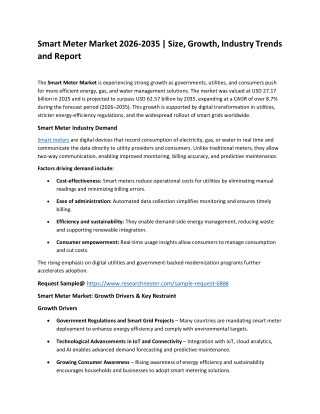 Smart Meter Market