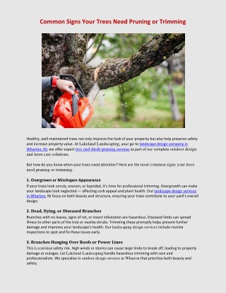 Common Signs Your Trees Need Pruning or Trimming