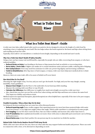 What Is a Toilet Seat Riser  Guide