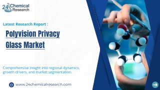 Global Polyvision Privacy Glass Market Research Report 2025(Status and Outlook)