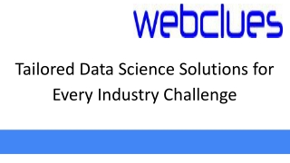 Tailored Data Science Solutions for Every Industry Challenge