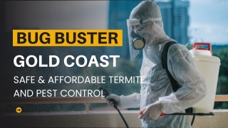Bug Buster Gold Coast – Safe & Affordable Termite and Pest Control